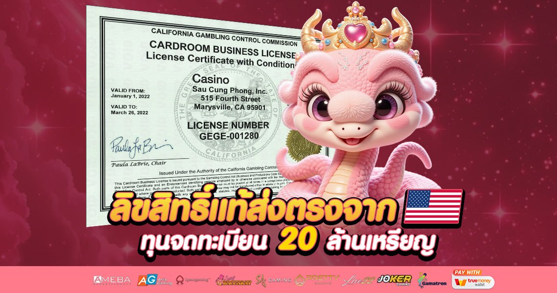 ทำไมสล็อตออนไลน์จึงเหมาะกับพฤติกรรมของผู้เล่นยุคใหม่
